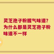 灵芝孢子粉腥气味道？为什么都是灵芝孢子粉味道不一样