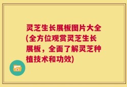 灵芝生长展板图片大全(全方位观赏灵芝生长展板，全面了解灵芝种植技术和功效)