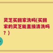 灵芝买回家洗吗(买回家的灵芝能直接清洗吗？)