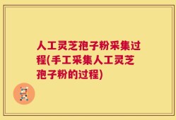人工灵芝孢子粉采集过程(手工采集人工灵芝孢子粉的过程)