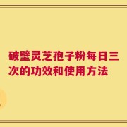 破壁灵芝孢子粉每日三次的功效和使用方法