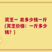 灵芝一 卖多少钱一斤(灵芝价格：一斤多少钱？)