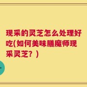 现采的灵芝怎么处理好吃(如何美味膳魔师现采灵芝？)