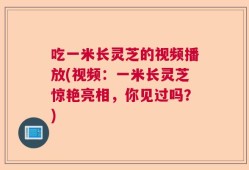 吃一米长灵芝的视频播放(视频：一米长灵芝惊艳亮相，你见过吗？)