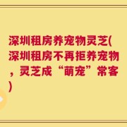 深圳租房养宠物灵芝(深圳租房不再拒养宠物，灵芝成“萌宠”常客)