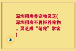 深圳租房养宠物灵芝(深圳租房不再拒养宠物，灵芝成“萌宠”常客)