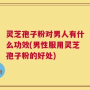 灵芝孢子粉对男人有什么功效(男性服用灵芝孢子粉的好处)