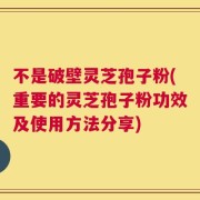 不是破壁灵芝孢子粉(重要的灵芝孢子粉功效及使用方法分享)
