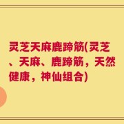 灵芝天麻鹿蹄筋(灵芝、天麻、鹿蹄筋，天然健康，神仙组合)
