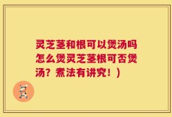 灵芝茎和根可以煲汤吗怎么煲灵芝茎根可否煲汤？煮法有讲究！)