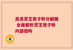 高清灵芝孢子粉分解图 全面解析灵芝孢子粉内部结构