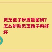 灵芝孢子粉质量鉴别？怎么辨别灵芝孢子粉好坏