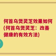 何首乌煲灵芝效果如何(何首乌煲灵芝：改善健康的有效方法)