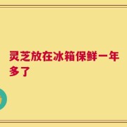 灵芝放在冰箱保鲜一年多了