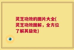 灵芝功效的图片大全(灵芝功效图解，全方位了解其益处)