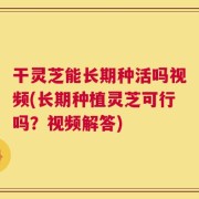 干灵芝能长期种活吗视频(长期种植灵芝可行吗？视频解答)