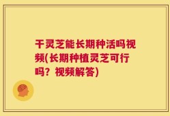 干灵芝能长期种活吗视频(长期种植灵芝可行吗？视频解答)