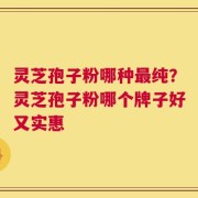 灵芝孢子粉哪种最纯？灵芝孢子粉哪个牌子好又实惠