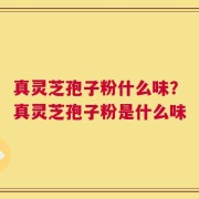 真灵芝孢子粉什么味？真灵芝孢子粉是什么味