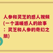 人参和灵芝的感人视频(一个温暖感人的故事：灵芝和人参的奇幻之旅)