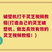 破壁机打干灵芝视频教程(打造自己的灵芝破壁机，做出高效有效的灵芝视频教程！)