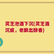 灵芝泡酒下沉(灵芝酒沉底，老酿出醇香)