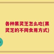 各种黑灵芝怎么吃(黑灵芝的不同食用方式)