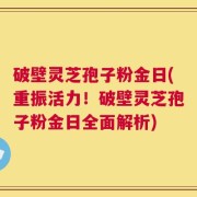 破壁灵芝孢子粉金日(重振活力！破壁灵芝孢子粉金日全面解析)