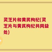灵芝片和黄芪枸杞(灵芝片与黄芪枸杞共同益处)