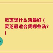 灵芝煲什么汤最好 (灵芝最适合煲哪些汤？)