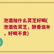 泡酒加什么灵芝好喝(泡酒佐灵芝，醇香滋补，好喝不贵)