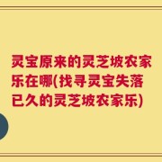 灵宝原来的灵芝坡农家乐在哪(找寻灵宝失落已久的灵芝坡农家乐)