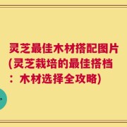 灵芝最佳木材搭配图片(灵芝栽培的最佳搭档：木材选择全攻略)