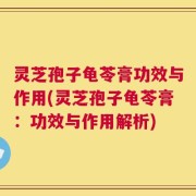 灵芝孢子龟苓膏功效与作用(灵芝孢子龟苓膏：功效与作用解析)