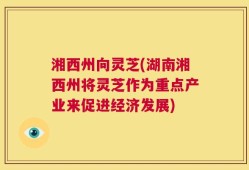 湘西州向灵芝(湖南湘西州将灵芝作为重点产业来促进经济发展)