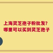 上海灵芝孢子粉批发？哪里可以买到灵芝孢子