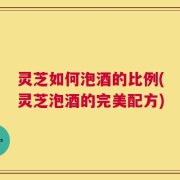 灵芝如何泡酒的比例(灵芝泡酒的完美配方)