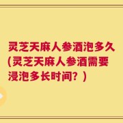 灵芝天麻人参酒泡多久(灵芝天麻人参酒需要浸泡多长时间？)