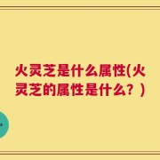 火灵芝是什么属性(火灵芝的属性是什么？)