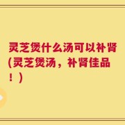 灵芝煲什么汤可以补肾(灵芝煲汤，补肾佳品！)
