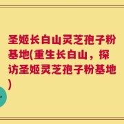 圣姬长白山灵芝孢子粉基地(重生长白山，探访圣姬灵芝孢子粉基地)