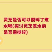 灵芝是否可以搅碎了煮水喝(探讨灵芝煮水前是否需搅碎)