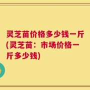 灵芝苗价格多少钱一斤(灵芝苗：市场价格一斤多少钱)