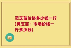 灵芝苗价格多少钱一斤(灵芝苗：市场价格一斤多少钱)