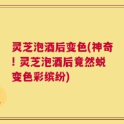 灵芝泡酒后变色(神奇! 灵芝泡酒后竟然蜕变色彩缤纷)