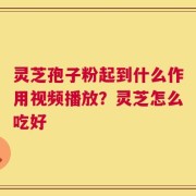 灵芝孢子粉起到什么作用视频播放？灵芝怎么吃好