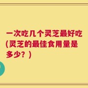 一次吃几个灵芝最好吃(灵芝的最佳食用量是多少？)