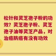 松针和灵芝孢子粉的功效？灵芝孢子粉、灵芝孢子油等灵芝产品，对治癌防癌有没有功效