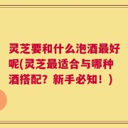灵芝要和什么泡酒最好呢(灵芝最适合与哪种酒搭配？新手必知！)