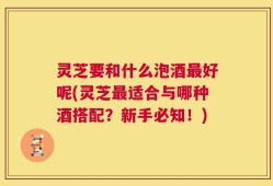 灵芝要和什么泡酒最好呢(灵芝最适合与哪种酒搭配？新手必知！)